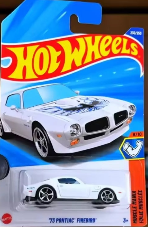 Hot Wheels '73 Pontiac Firebird Toy Car tys crs
