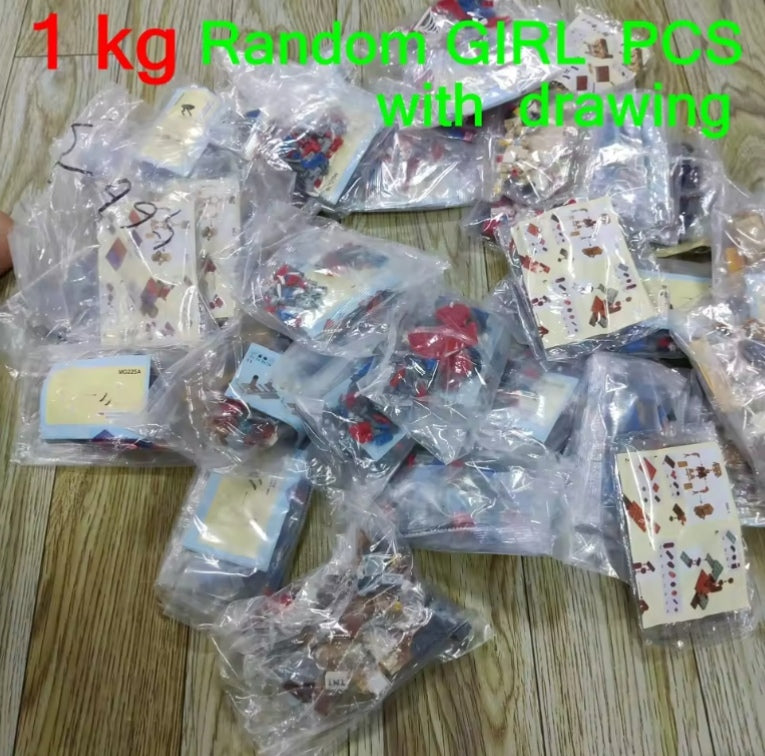 Classic Random Girl Building Blocks Set Toys tys bbs